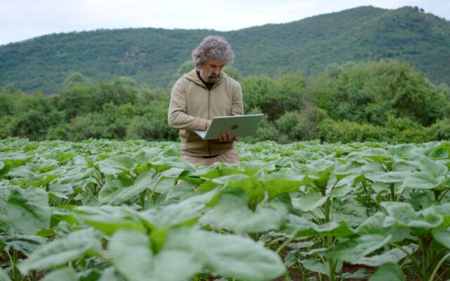 Agriculture is ready for AI, but its data isn’t