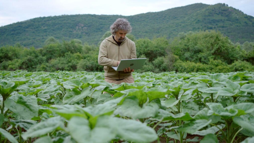Agriculture is ready for AI, but its data isn’t