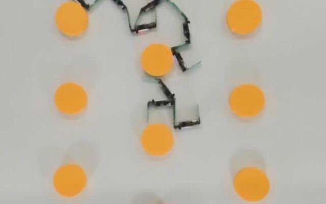 Entangled robotic matter with cohesive motion