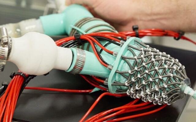 Soft robotic heart offers new way to study disease and test life-saving…