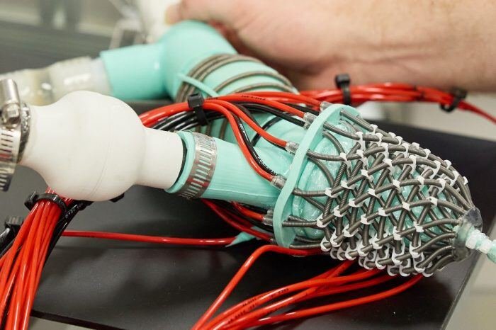 Soft robotic heart offers new way to study disease and test life-saving…