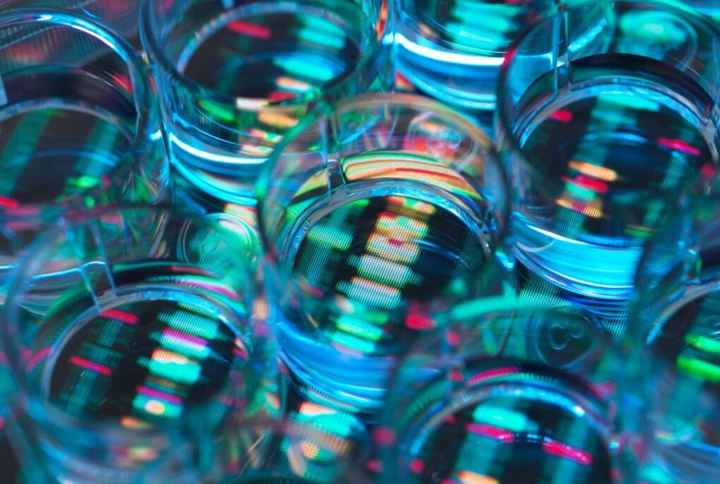 OpenAI researcher Miles Wang in talks to launch AI drug discovery startup…