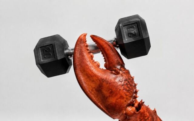 Tech industry is buzzing after a Claude agent hacked into a gym