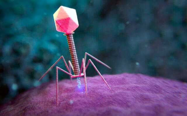 Large genome models used to design new viruses