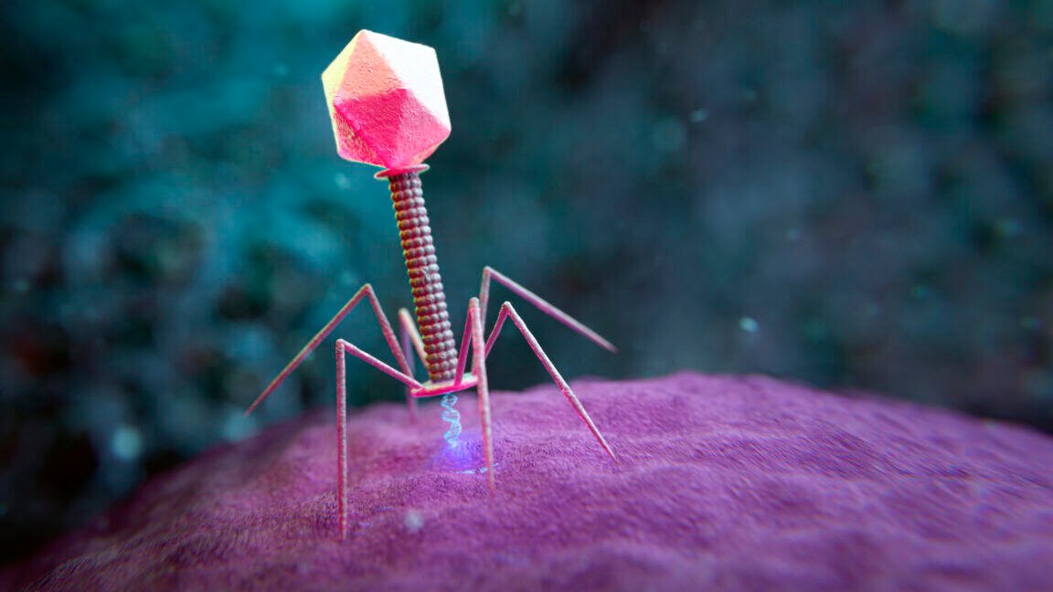 Large genome models used to design new viruses