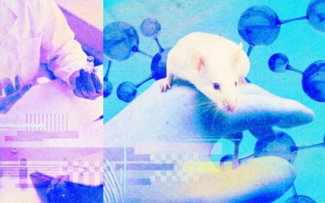 AI for science needs reasoning, not just data