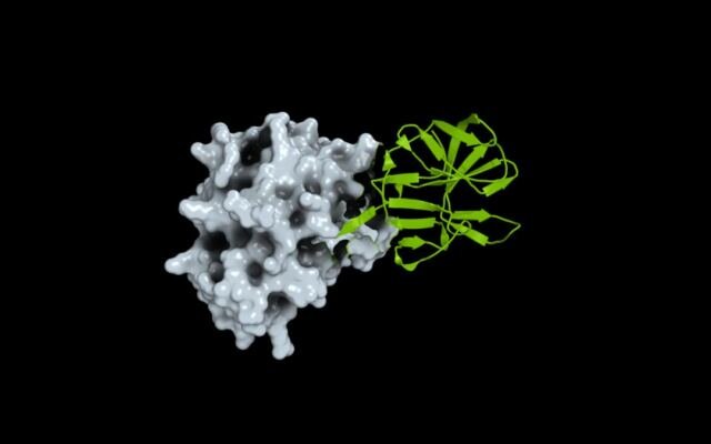 How Open Science Can Help Researchers Prepare for the Next Pandemic