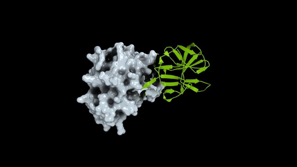 How Open Science Can Help Researchers Prepare for the Next Pandemic