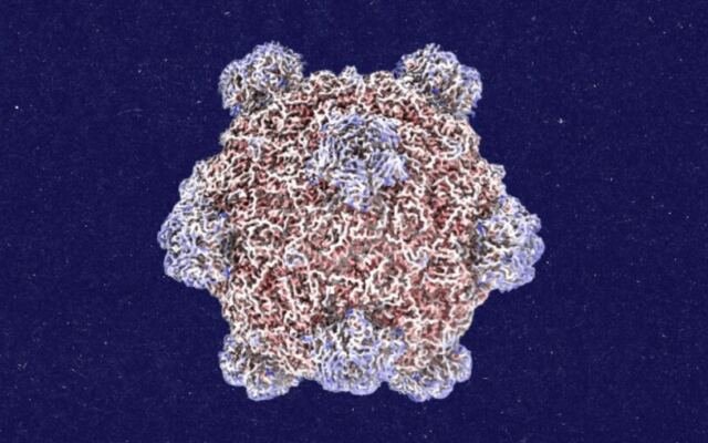 Roundtables: A Conversation With the Creator of AI-Designed Viruses