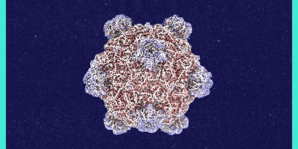 Roundtables: A Conversation With the Creator of AI-Designed Viruses