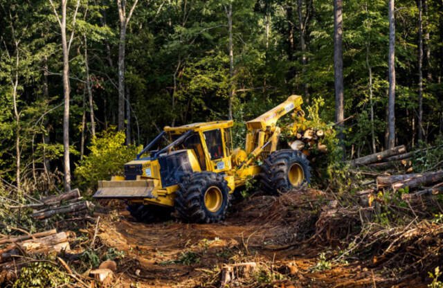 Kodama raises $7M to bring robotics to forestry