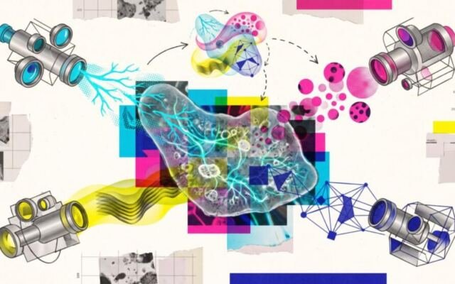Researchers stretch LeCun’s JEPA AI into a universal world model that works…