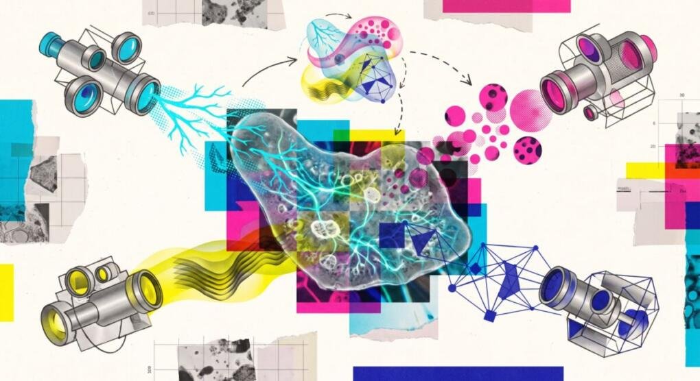 Researchers stretch LeCun’s JEPA AI into a universal world model that works…